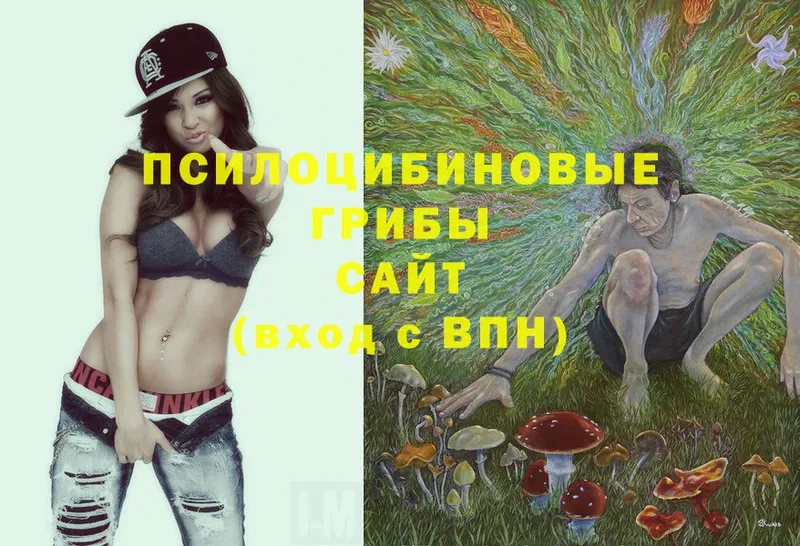 MEGA tor  Красноярск  Псилоцибиновые грибы Magic Shrooms  даркнет сайт 